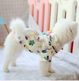 Small dog than the bear pomei thin summer cute shirt (Option: XS-Dragonfly)