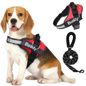 Pet Clothing Dog Couple Chest Strap Rope (Option: Red-XS)